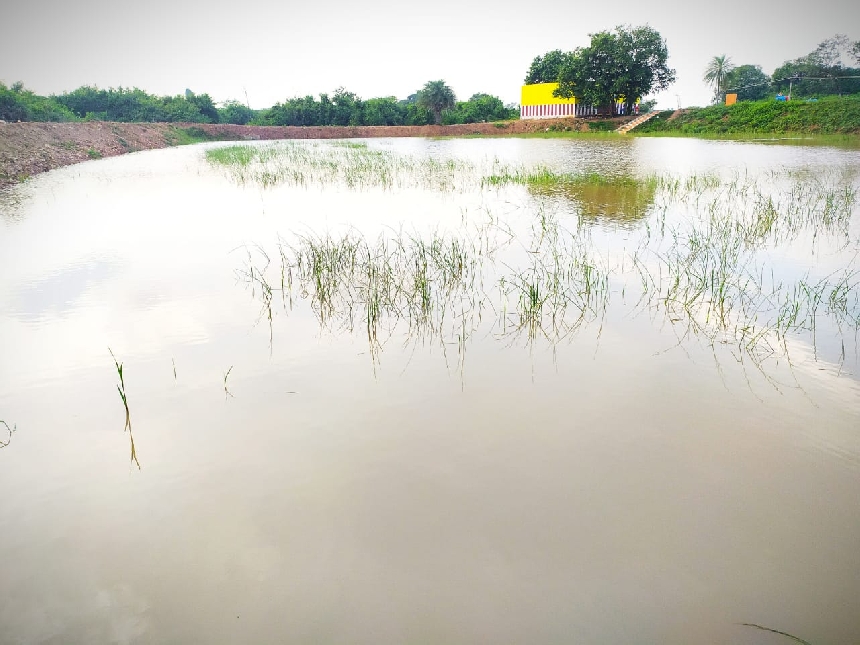 Eget Duis at Tellus Urna.